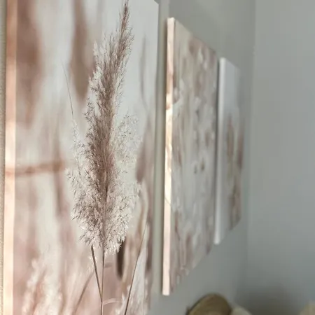 Apartament Grand Au Coeur De I La Place De Morny Et La Gare Sont A 5 Min A Pied Deauville