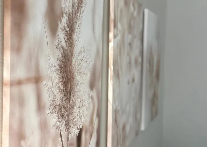 아파트 Grand Au Coeur De I La Place De Morny Et La Gare Sont A 5 Min A Pied 도빌